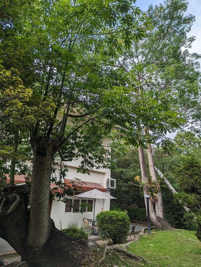 Nantou 绿庄飞阁渡假会馆酒店 外观 照片